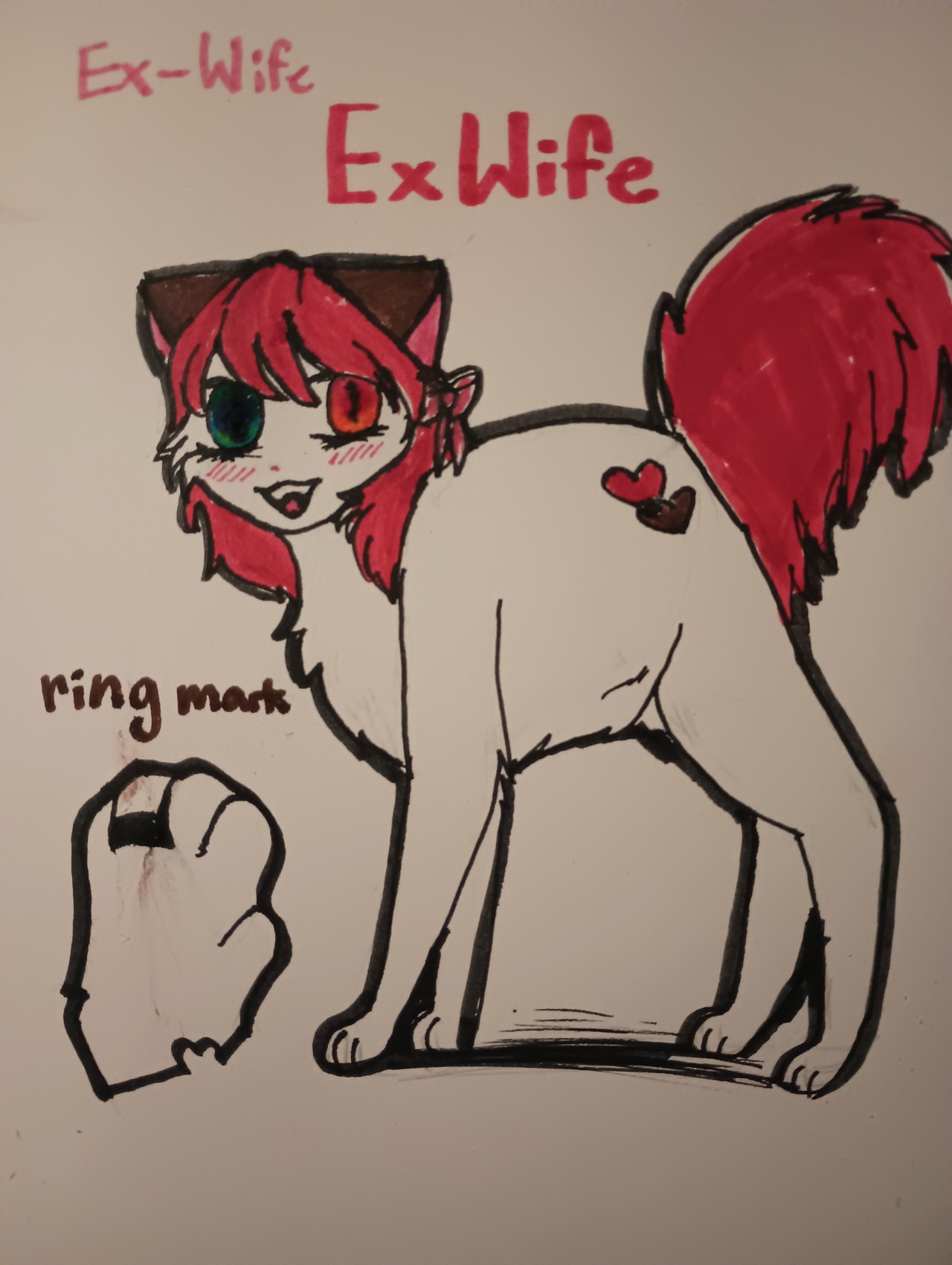 A marker drawing of a very shoujo inspired calico cat with heterochromia and short hair with a bow. She's named Ex-wife ExWife and there's a drawing of her left paw with a marking resembling a wedding ring titled ring mark.